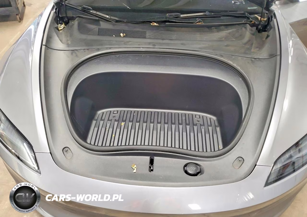 2025 Tesla Model 3 VIN:5YJ3E1EAXSF999916 - 11