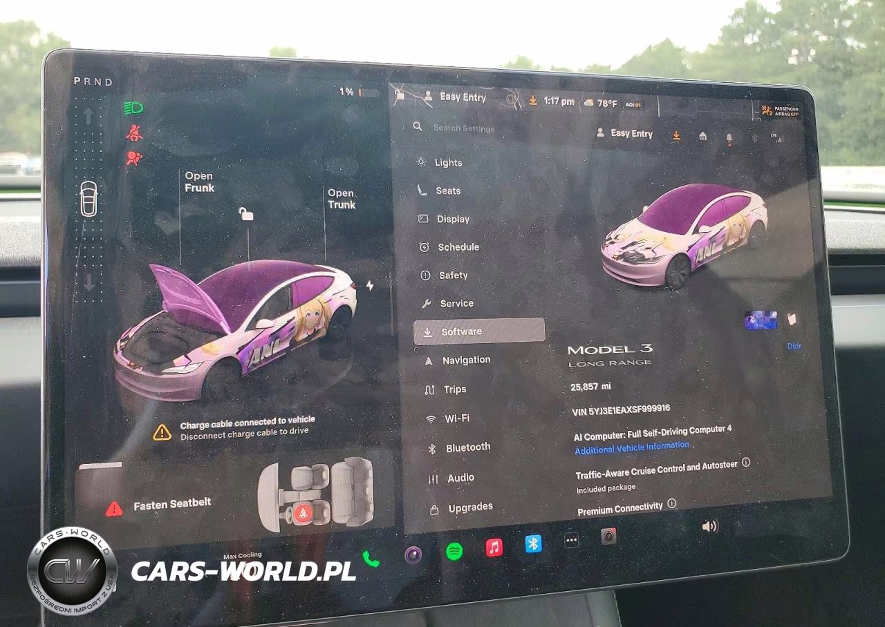2025 Tesla Model 3 VIN:5YJ3E1EAXSF999916 - 9