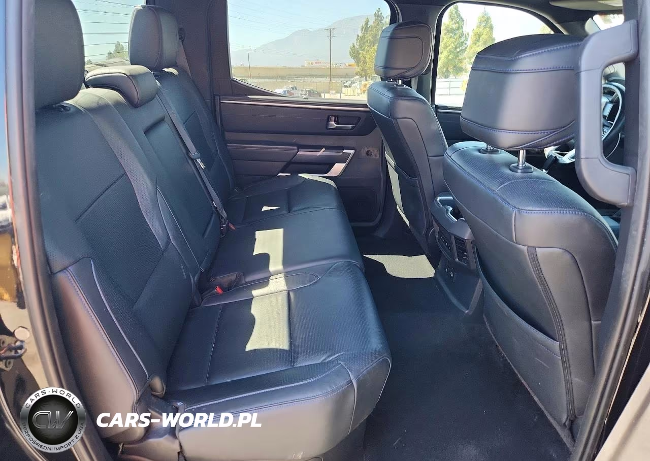 2022 Toyota Tundra Platinum Hv VIN:5TFNC5DB0NX008507 - 10