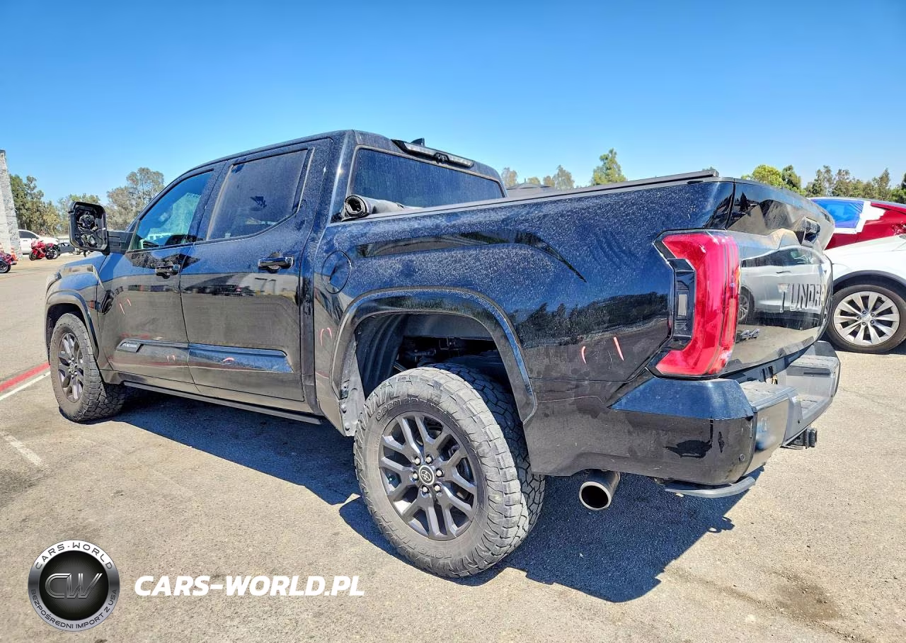 2022 Toyota Tundra Platinum Hv VIN:5TFNC5DB0NX008507 - 2