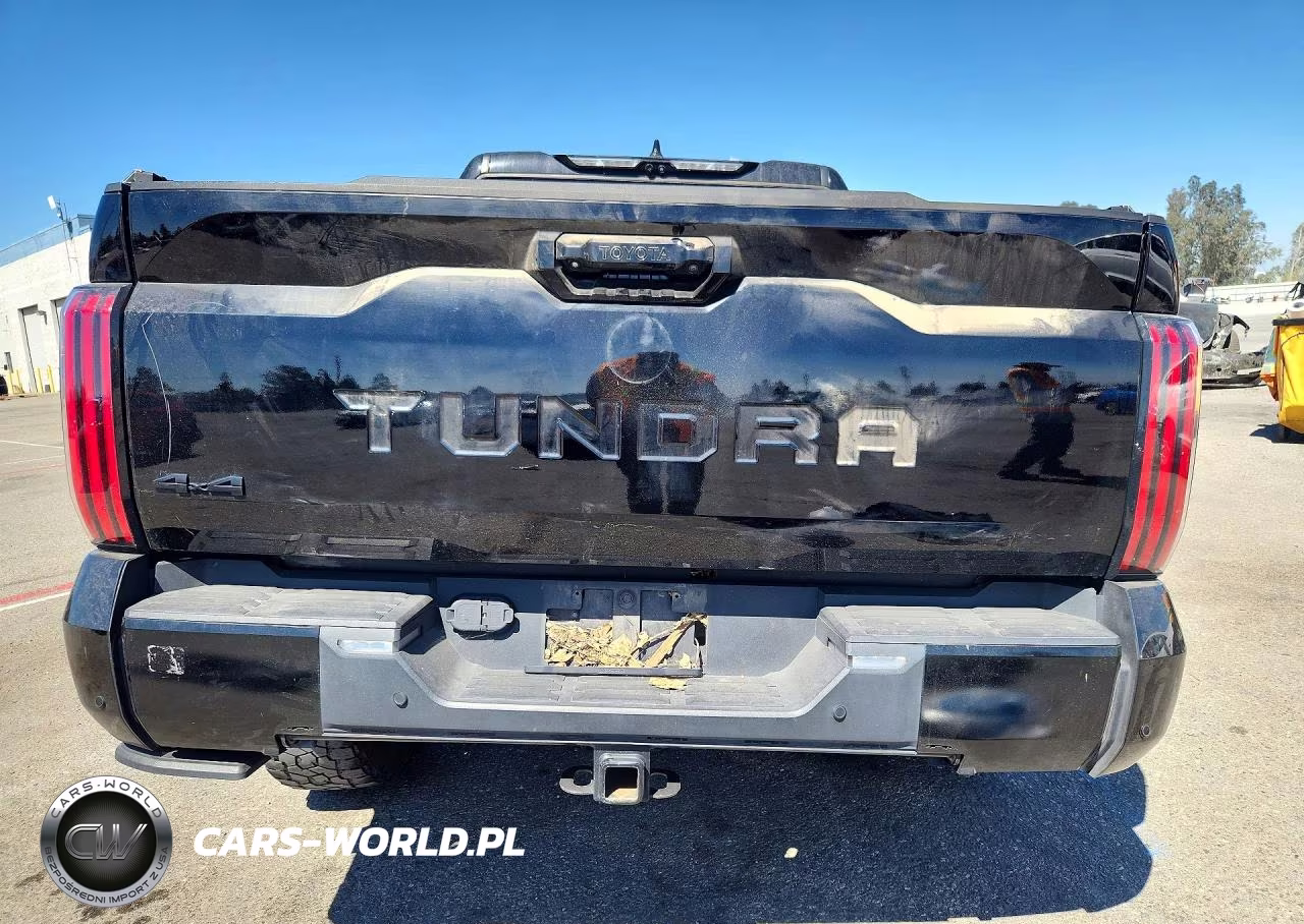 2022 Toyota Tundra Platinum Hv VIN:5TFNC5DB0NX008507 - 6