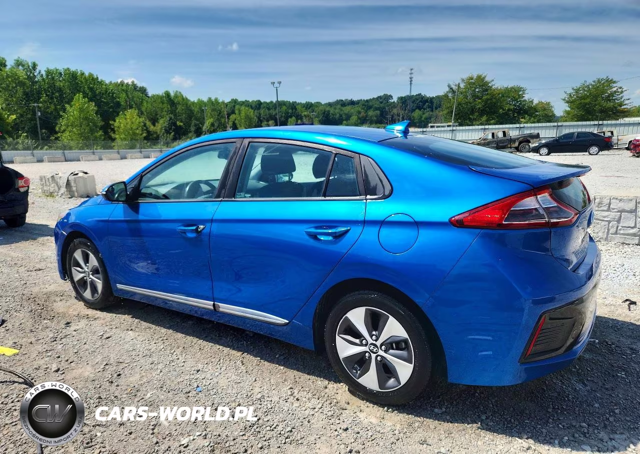2018 Hyundai Ioniq Electric Base VIN:KMHC75LH9JU027128 - 2