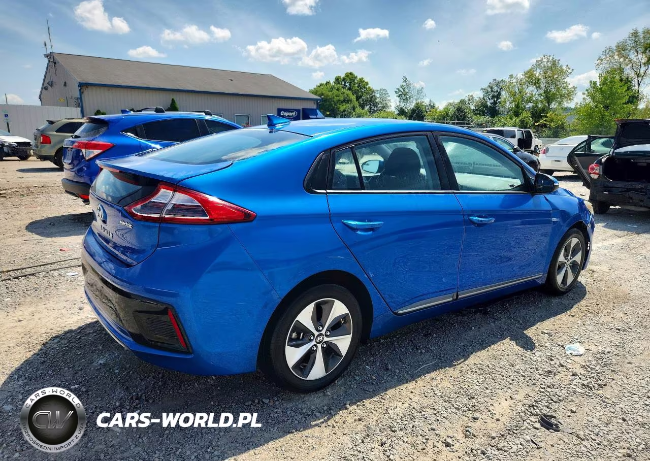 2018 Hyundai Ioniq Electric Base VIN:KMHC75LH9JU027128 - 3