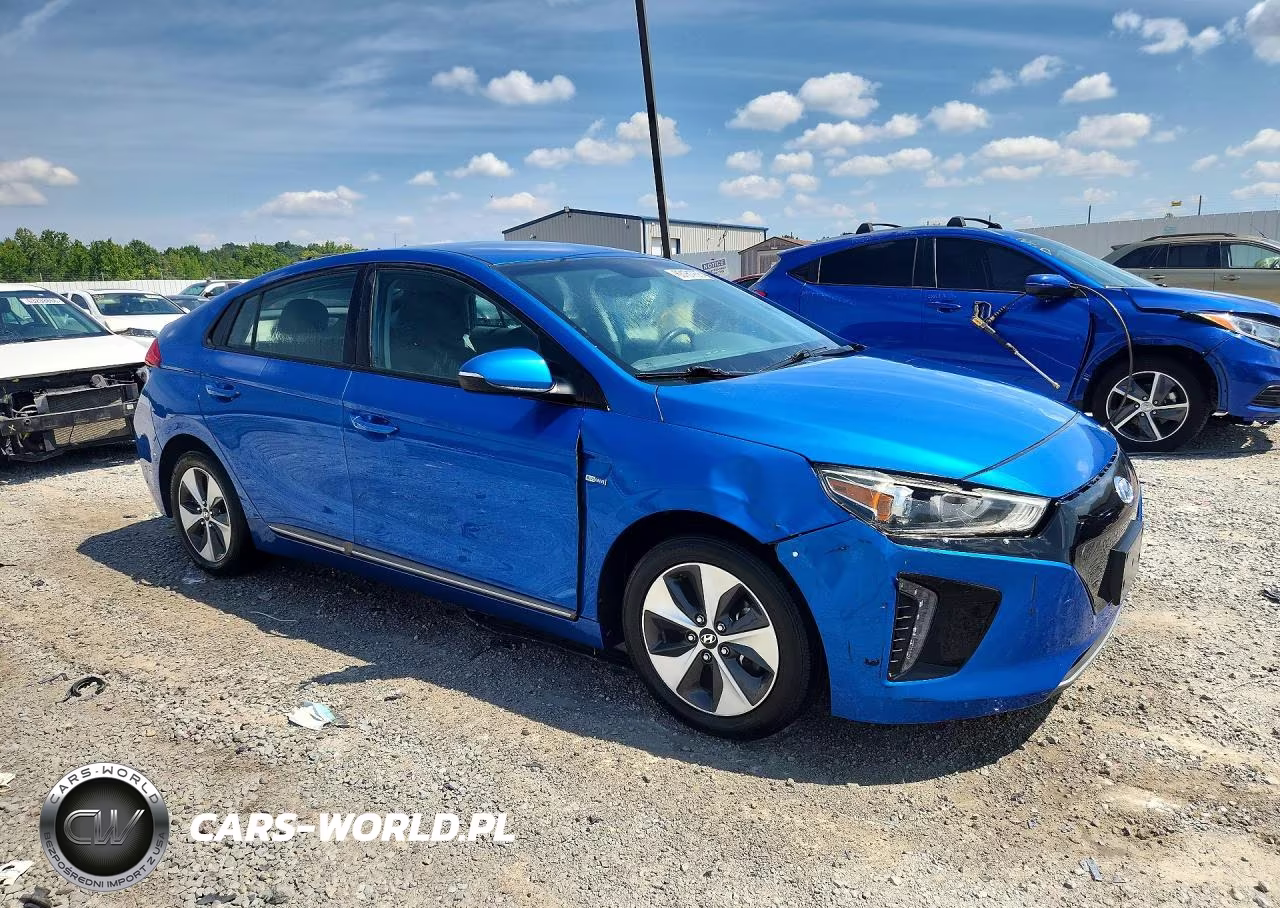 2018 Hyundai Ioniq Electric Base VIN:KMHC75LH9JU027128 - 4