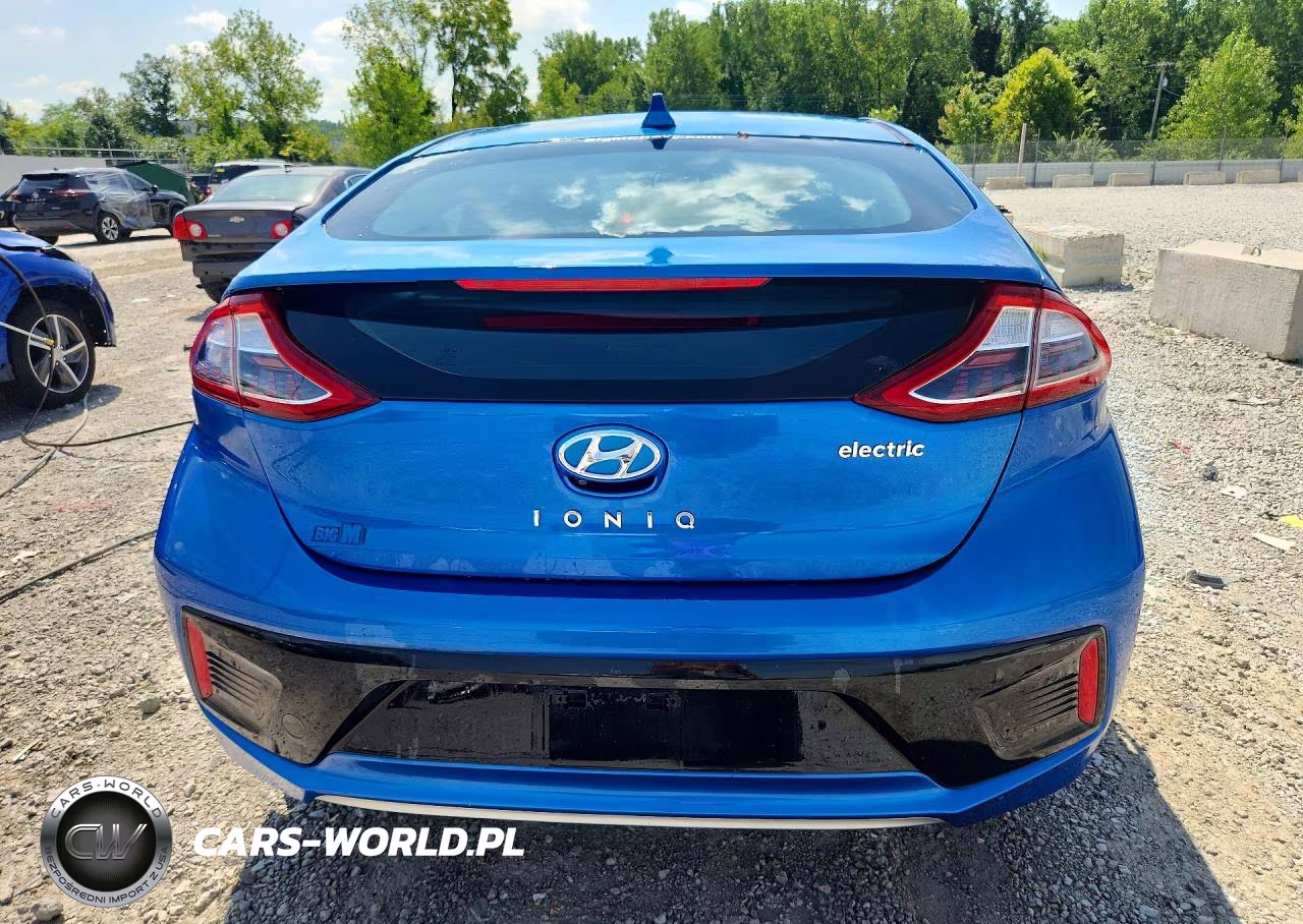2018 Hyundai Ioniq Electric Base VIN:KMHC75LH9JU027128 - 6