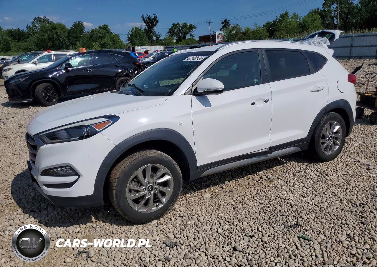 2017 Hyundai Tucson Eco VIN:KM8J3CA20HU273632 - 1