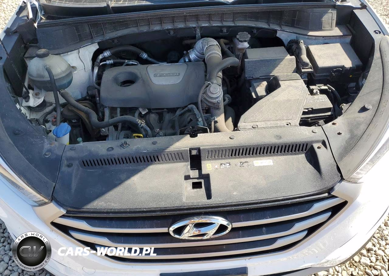2017 Hyundai Tucson Eco VIN:KM8J3CA20HU273632 - 12