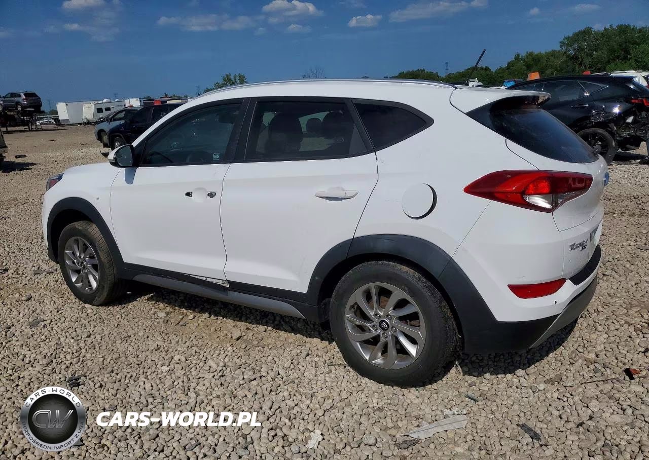 2017 Hyundai Tucson Eco VIN:KM8J3CA20HU273632 - 2
