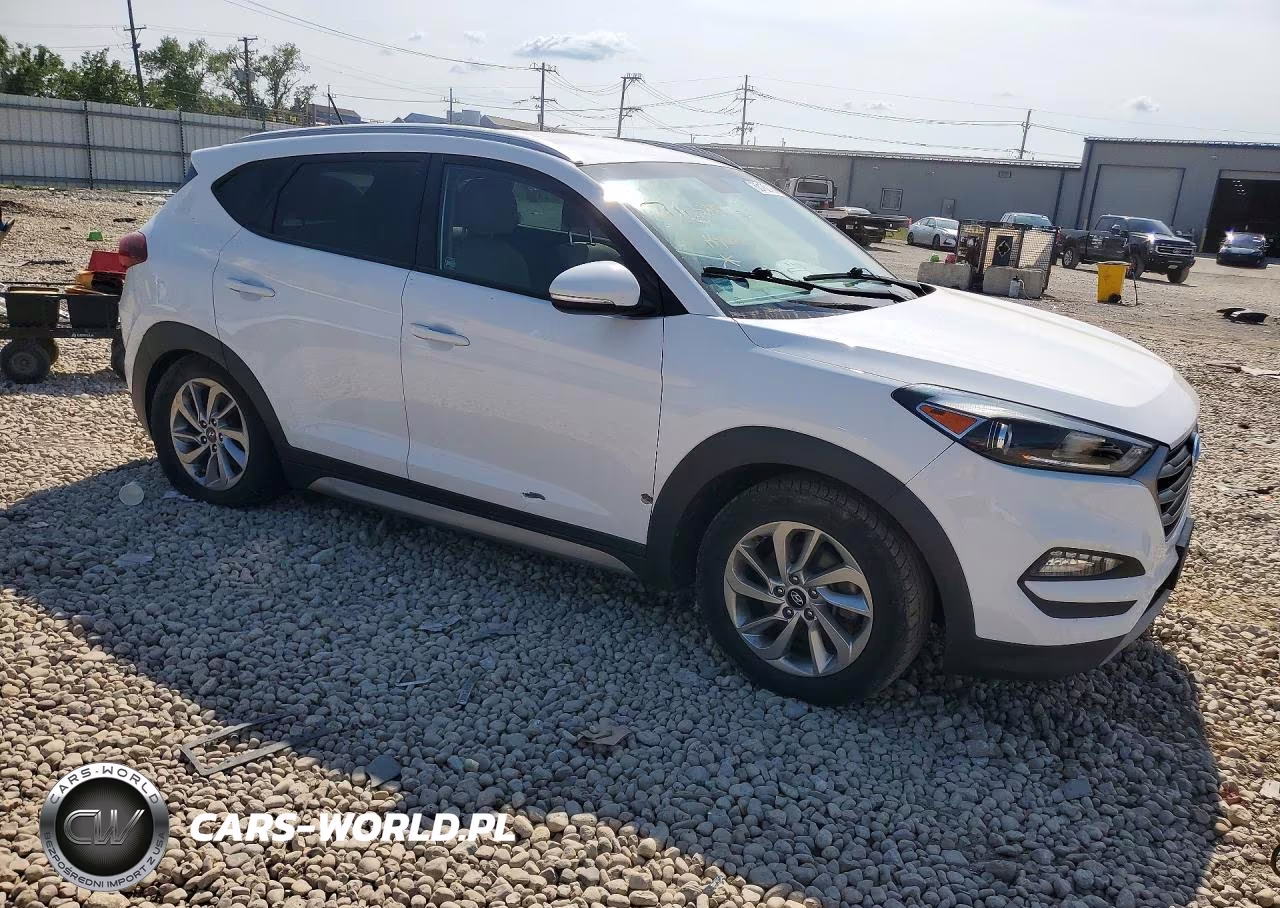 2017 Hyundai Tucson Eco VIN:KM8J3CA20HU273632 - 4