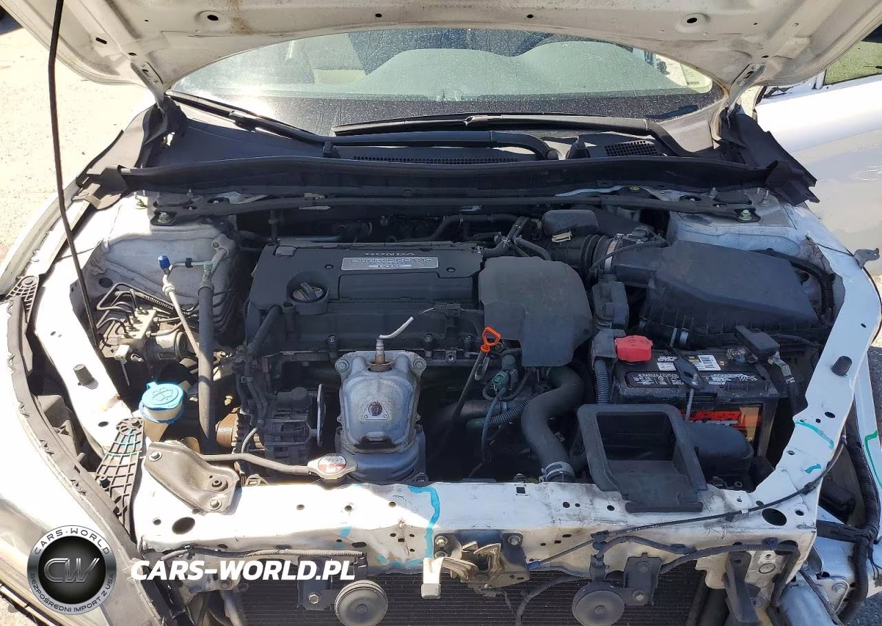 2013 Honda Accord Exl VIN:1HGCR2F81DA091132 - 11