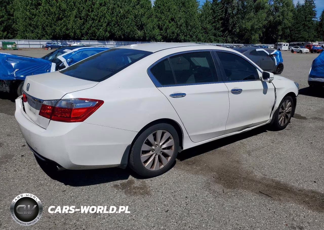 2013 Honda Accord Exl VIN:1HGCR2F81DA091132 - 3