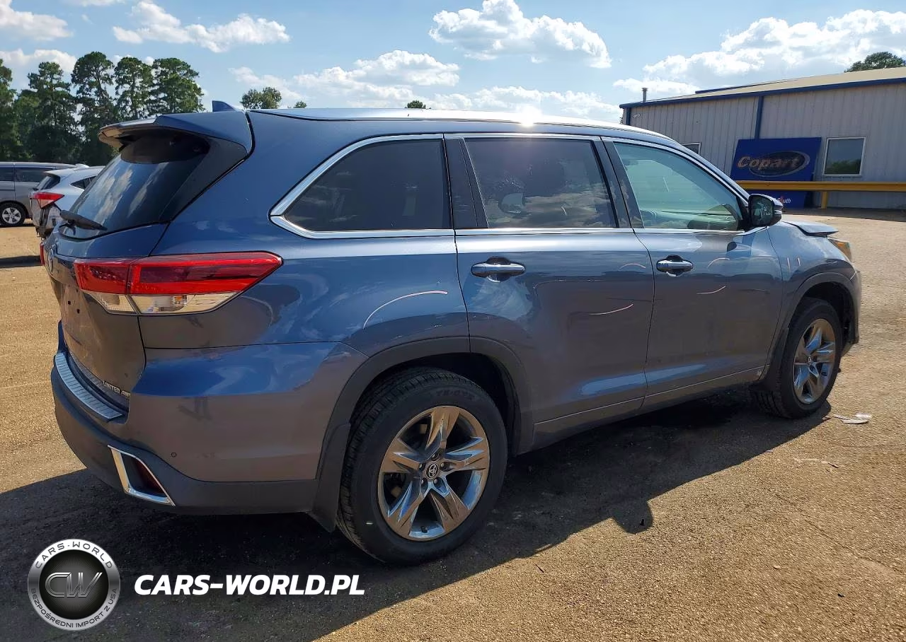 2019 Toyota Highlander Limited Platinum VIN:5TDDZRFH1KS993162 - 3