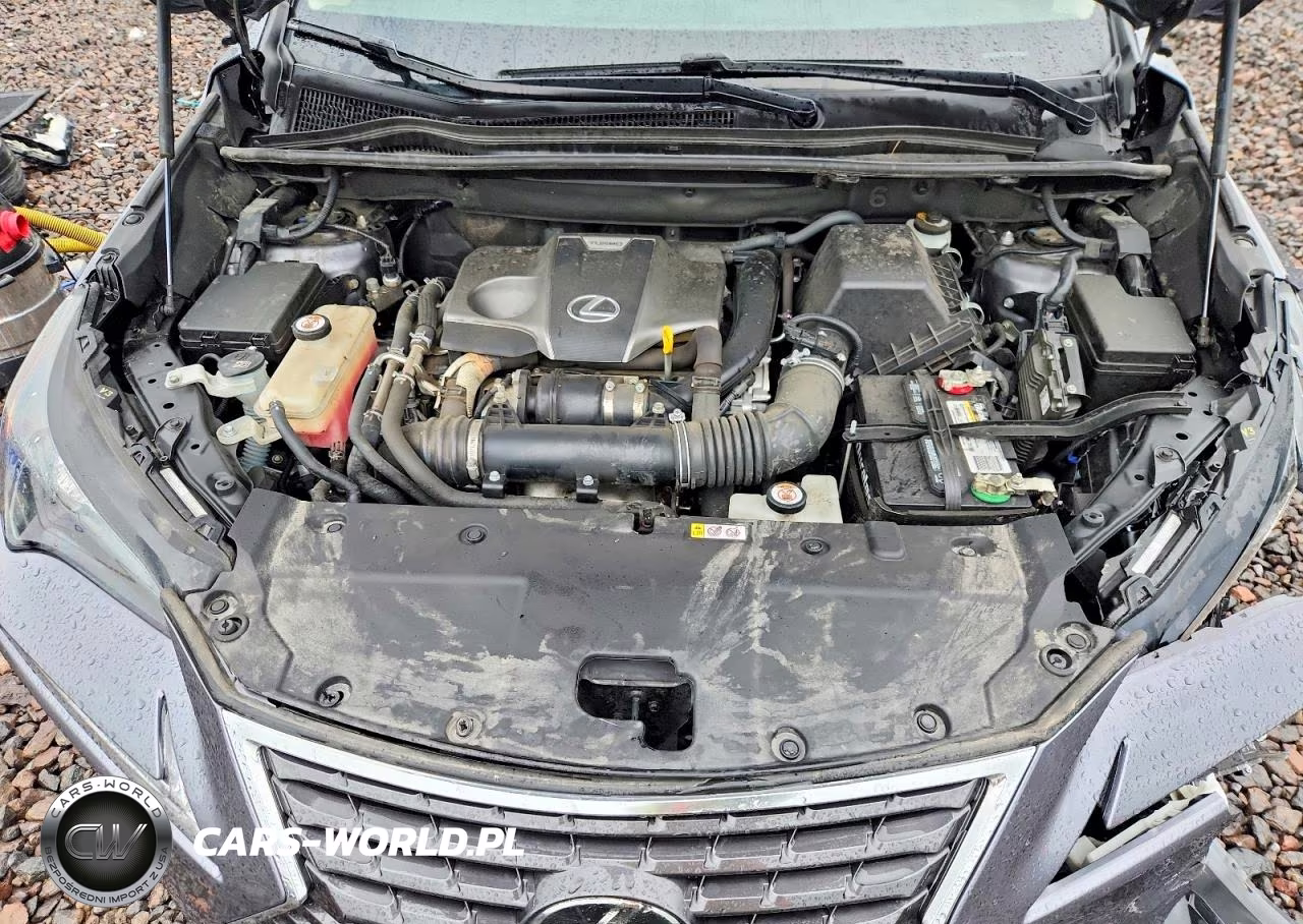 2019 Lexus Nx 300 Base VIN:JTJBARBZ1K2211430 - 12