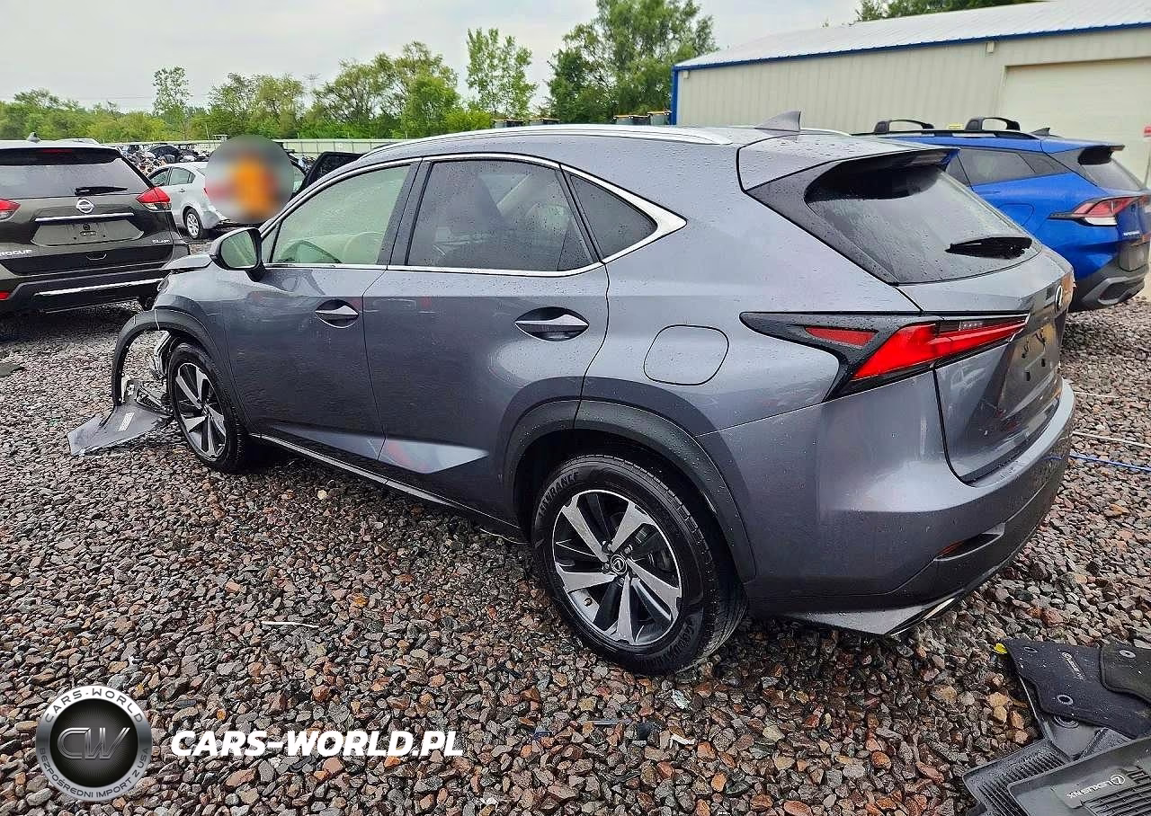 2019 Lexus Nx 300 Base VIN:JTJBARBZ1K2211430 - 2