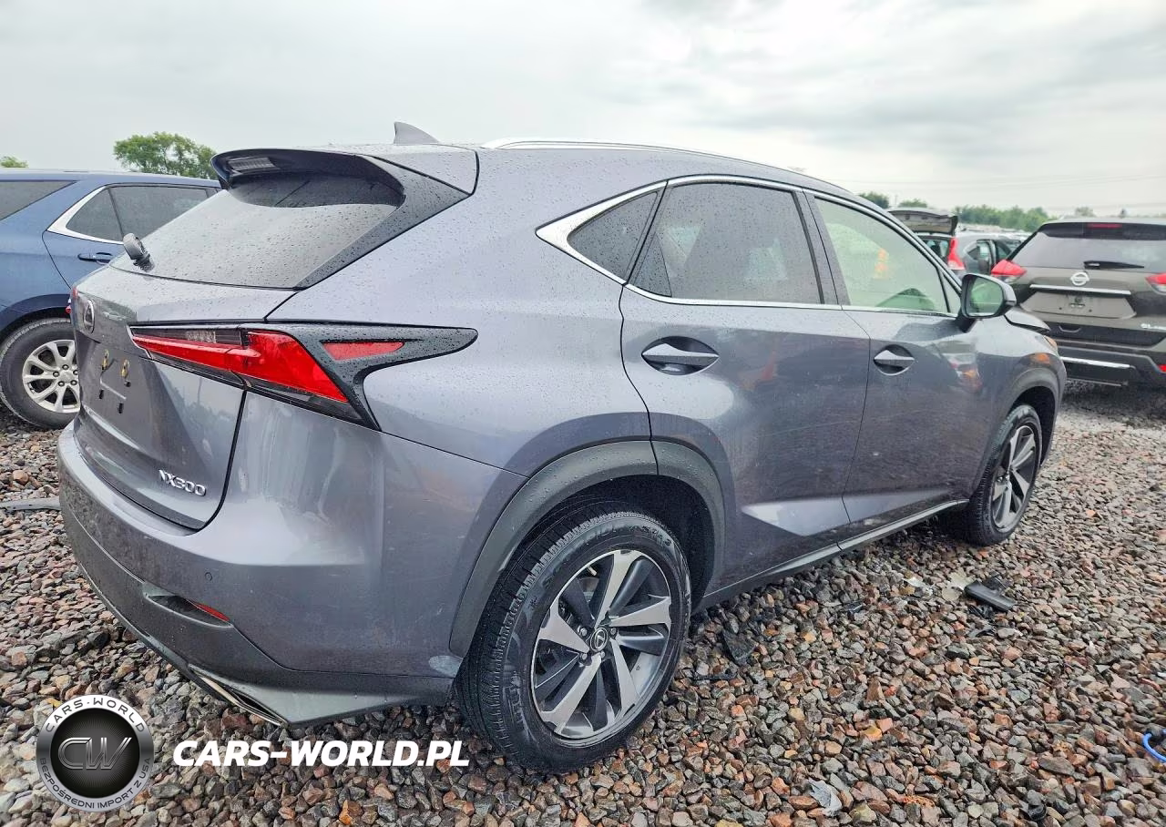 2019 Lexus Nx 300 Base VIN:JTJBARBZ1K2211430 - 3