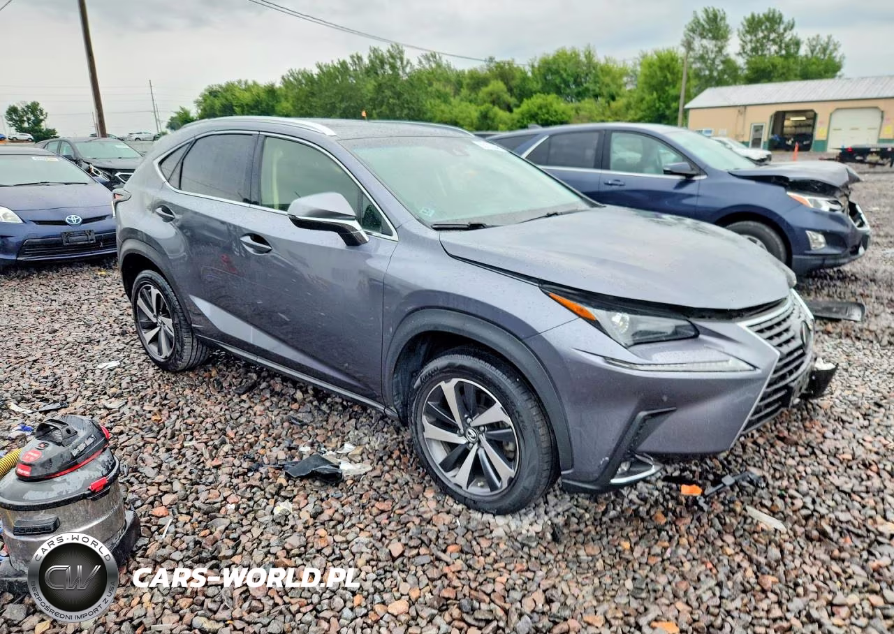 2019 Lexus Nx 300 Base VIN:JTJBARBZ1K2211430 - 4