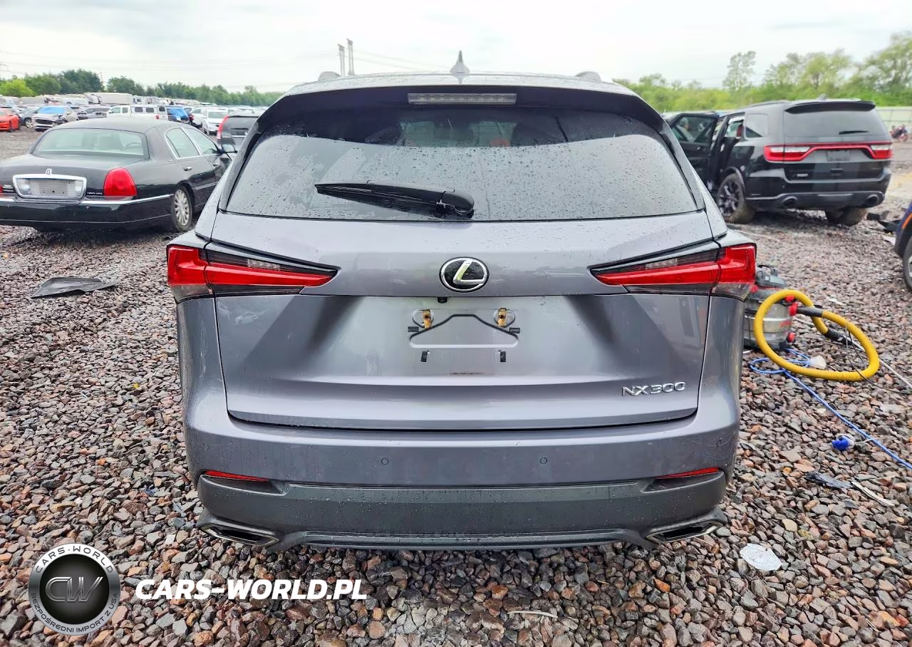 2019 Lexus Nx 300 Base VIN:JTJBARBZ1K2211430 - 6