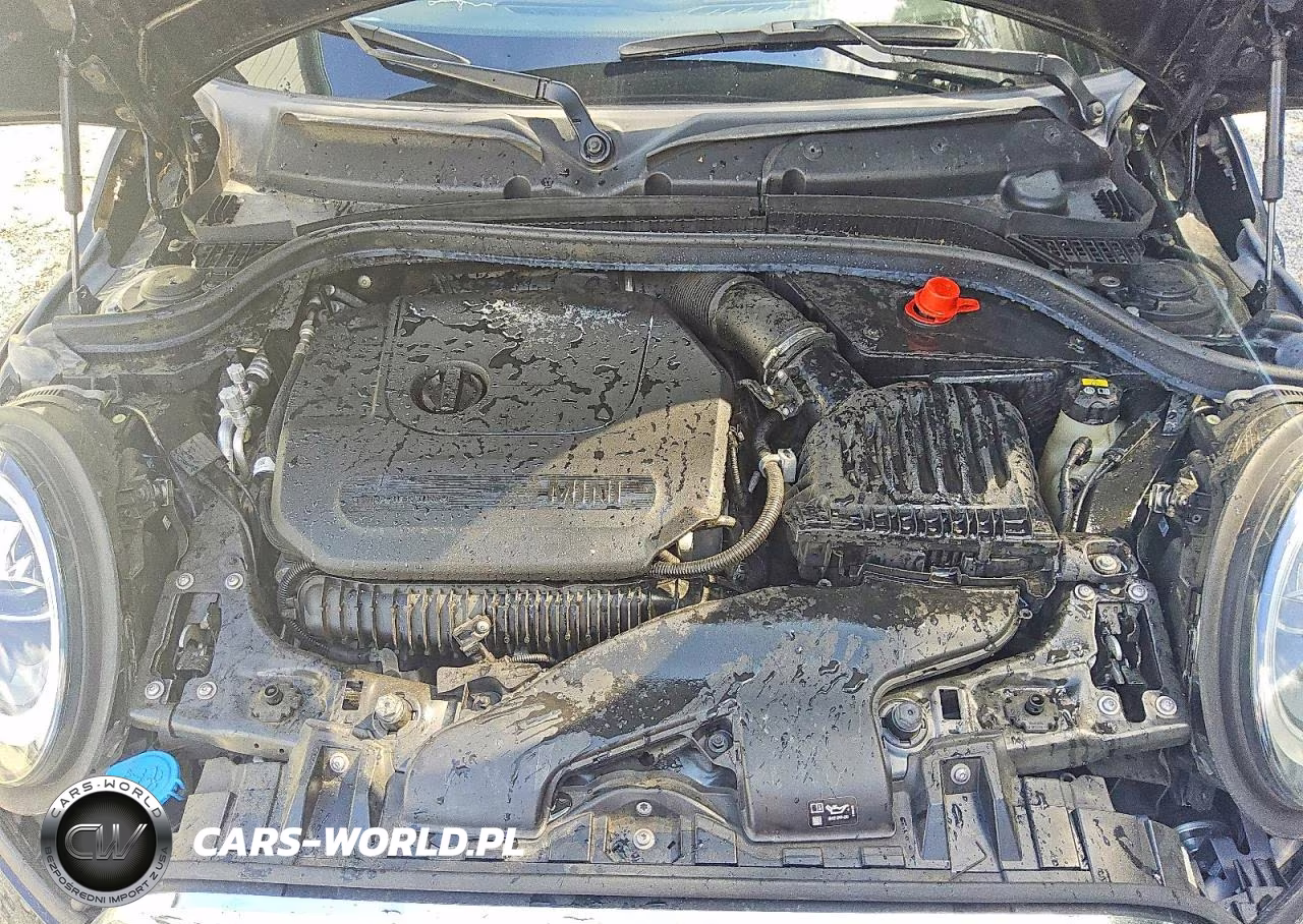 2021 Mini Cooper S VIN:WMWXR5C02M2N05607 - 11