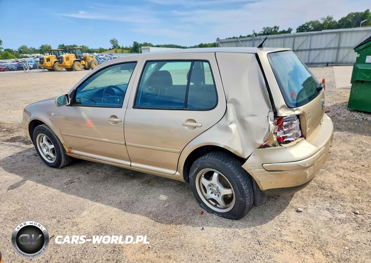 2004 Volkswagen Golf Gls VIN:9BWGL61J444033460 - 2