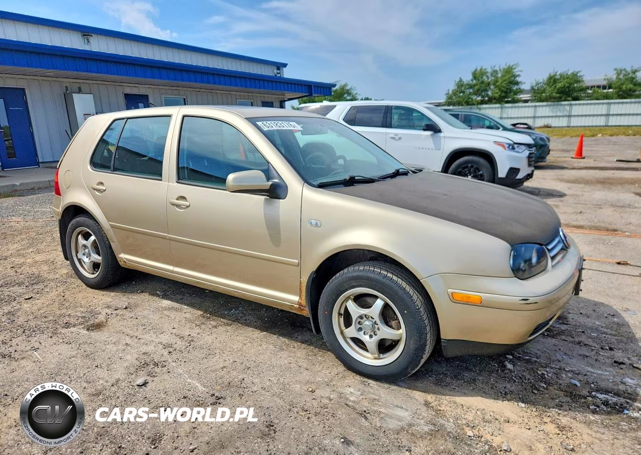 2004 Volkswagen Golf Gls VIN:9BWGL61J444033460 - 4