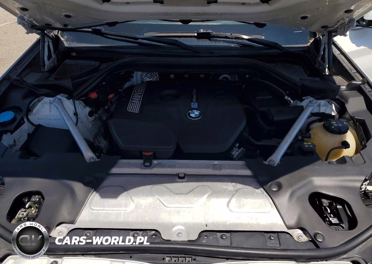 2019 BMW X3 Sdrive30I VIN:5UXTR7C59KLF36659 - 12