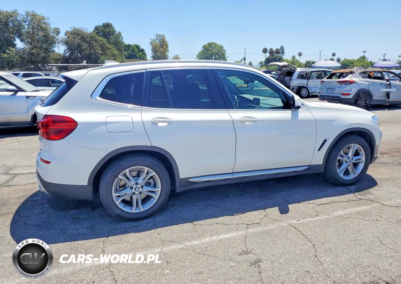 2019 BMW X3 Sdrive30I VIN:5UXTR7C59KLF36659 - 3
