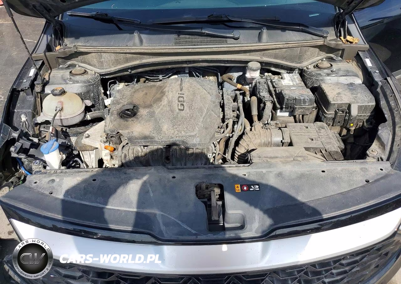 2023 Kia Sportage Ex VIN:5XYK33AF2PG091779 - 12