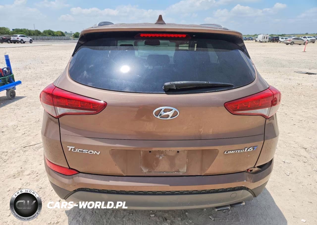 2016 Hyundai Tucson Limited VIN:KM8J33A26GU071389 - 6