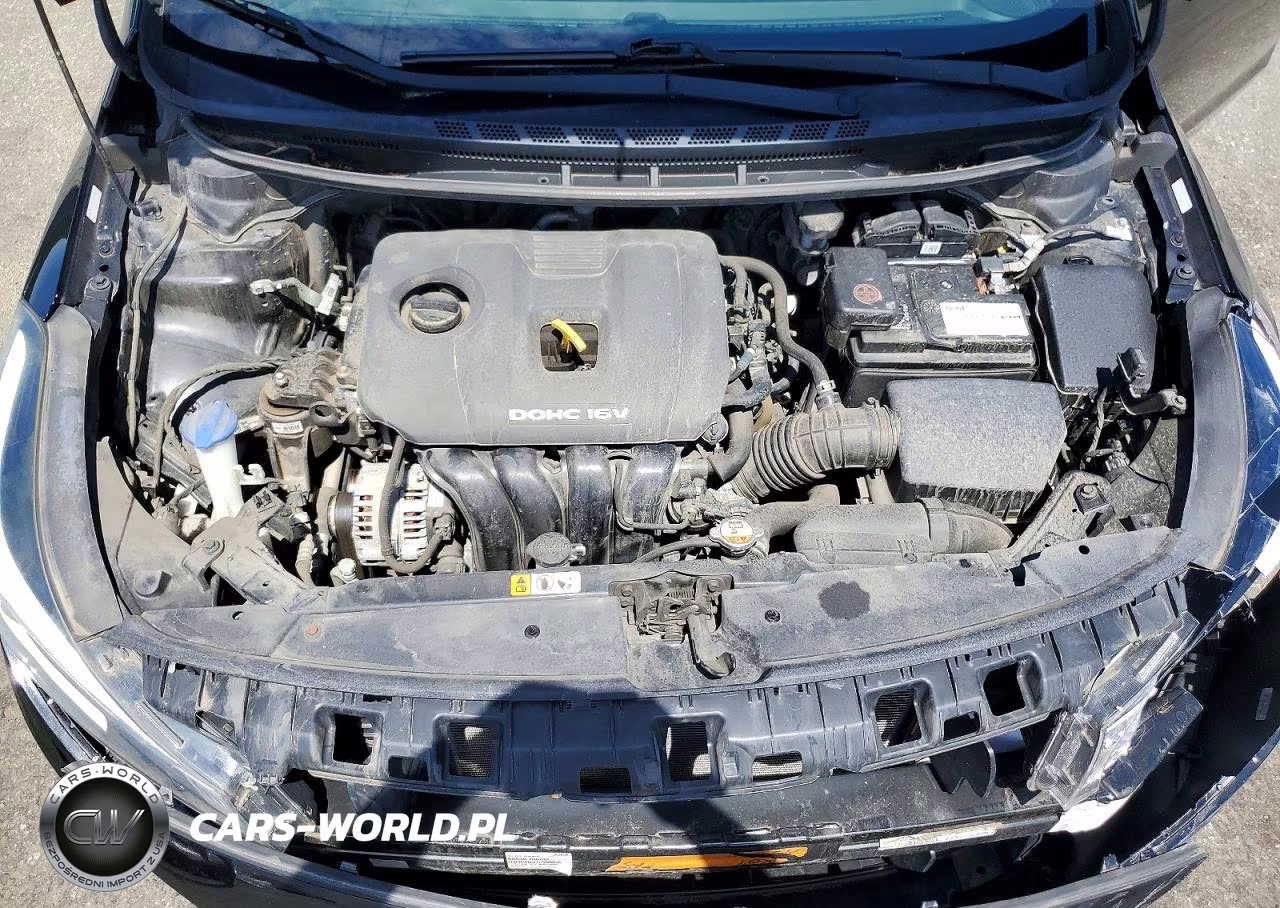 2018 Kia Forte Lx VIN:3KPFK4A7XJE281983 - 11