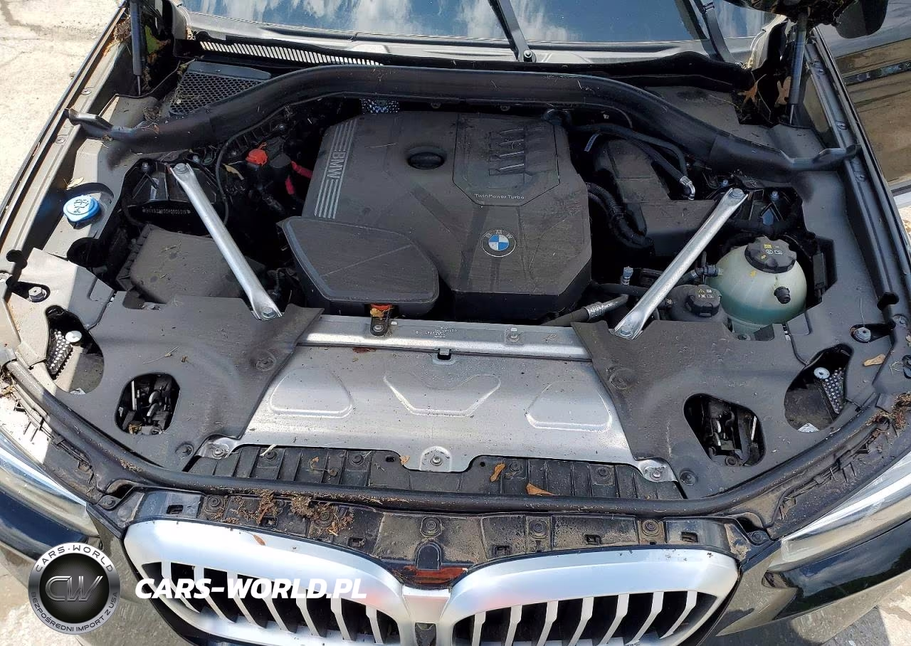 2023 BMW X3 xDrive30I VIN:5UX53DP00P9R05319 - 12
