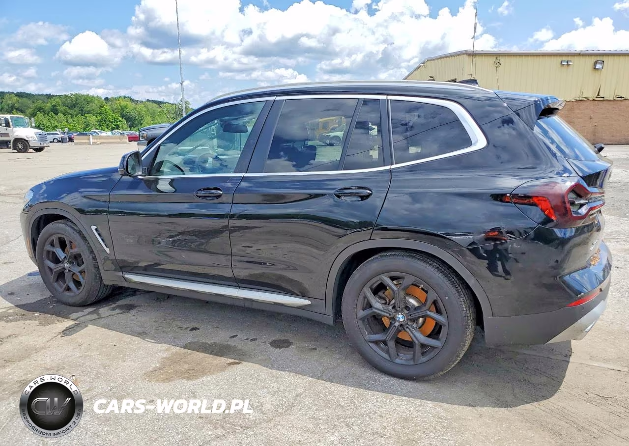 2023 BMW X3 xDrive30I VIN:5UX53DP00P9R05319 - 2