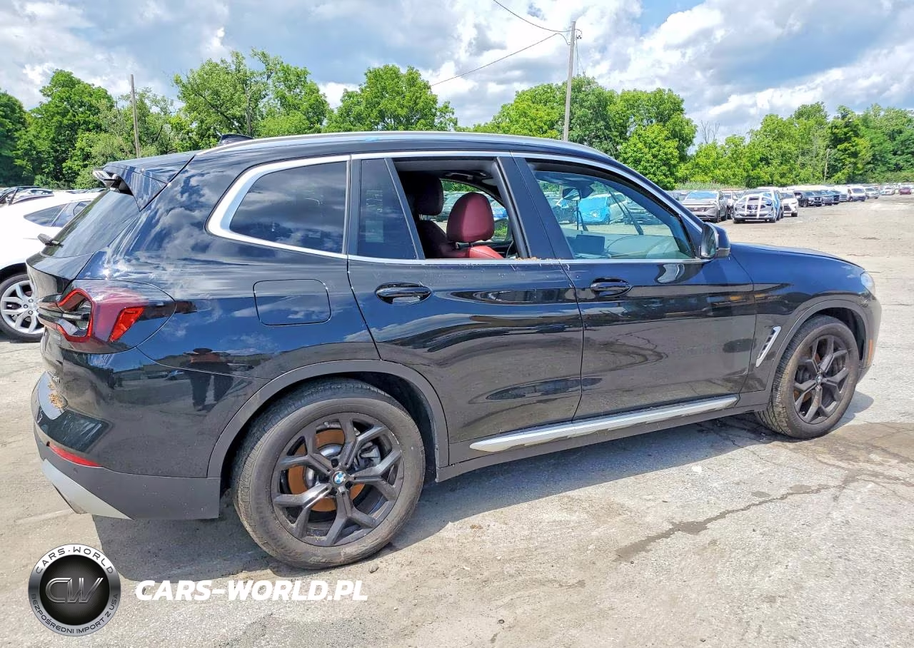 2023 BMW X3 xDrive30I VIN:5UX53DP00P9R05319 - 3
