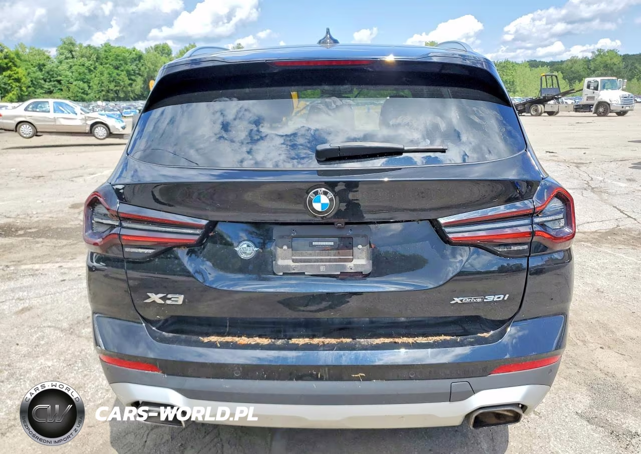 2023 BMW X3 xDrive30I VIN:5UX53DP00P9R05319 - 6
