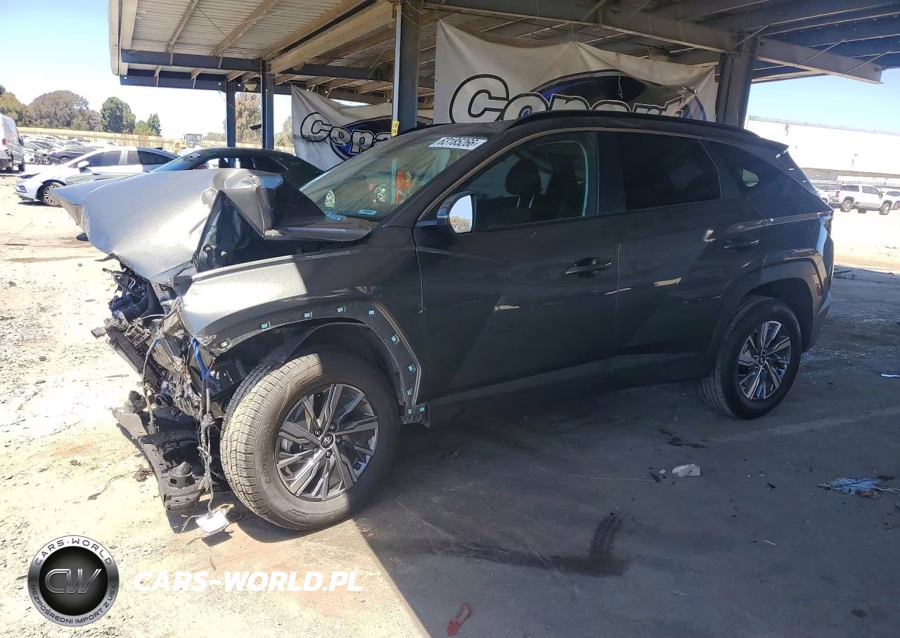2023 Hyundai Tucson Blue VIN:KM8JBCA12PU099118 - 1