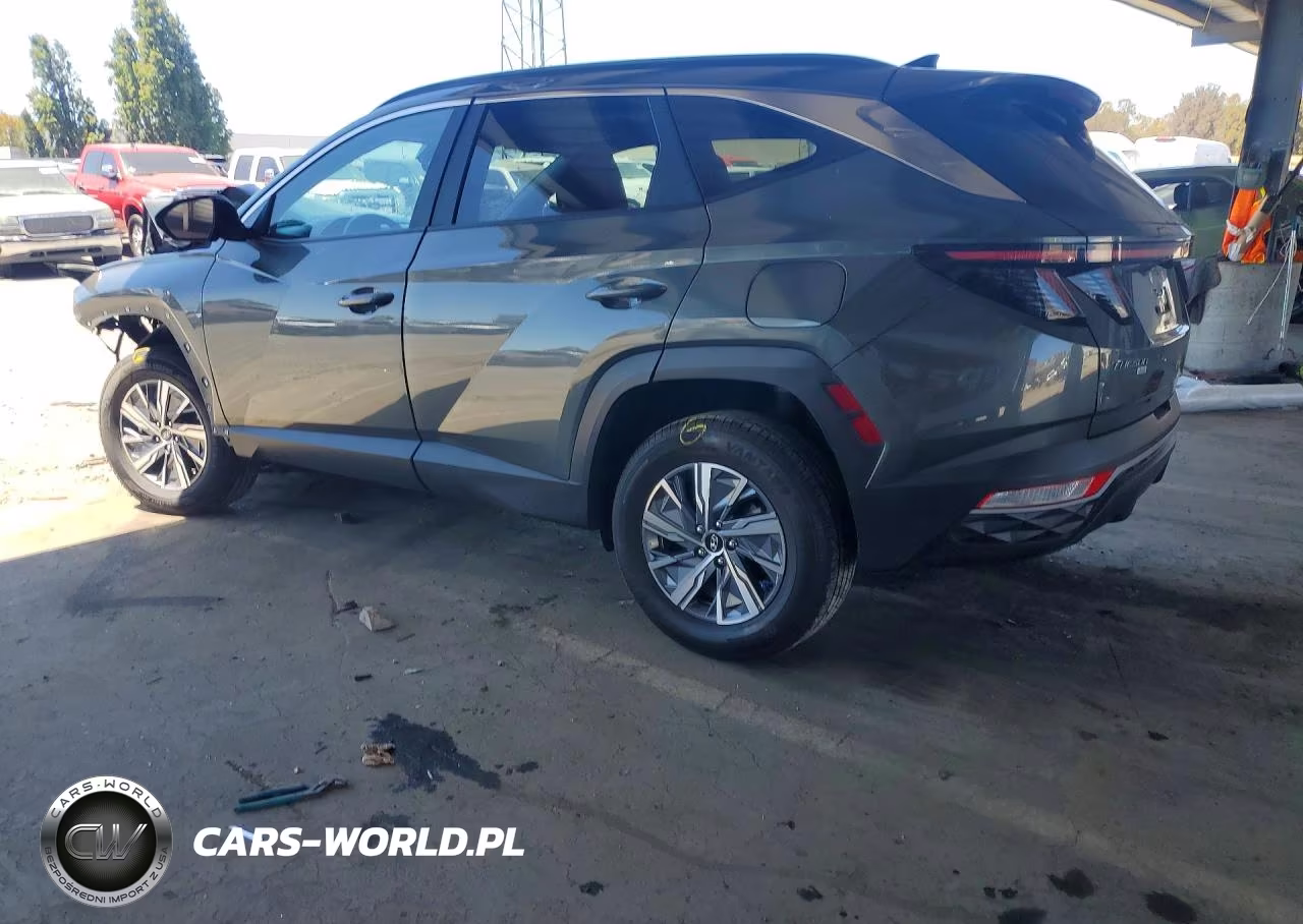 2023 Hyundai Tucson Blue VIN:KM8JBCA12PU099118 - 2