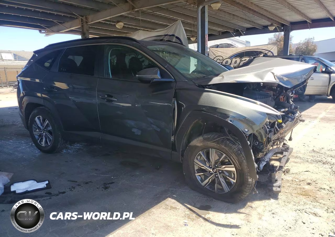 2023 Hyundai Tucson Blue VIN:KM8JBCA12PU099118 - 4