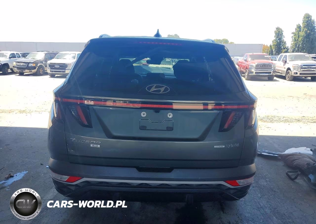 2023 Hyundai Tucson Blue VIN:KM8JBCA12PU099118 - 6