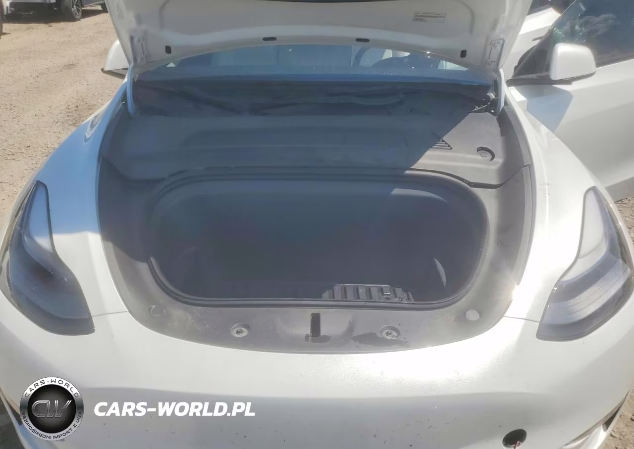 2023 Tesla Model Y VIN:7SAYGAEE9PF806104 - 11