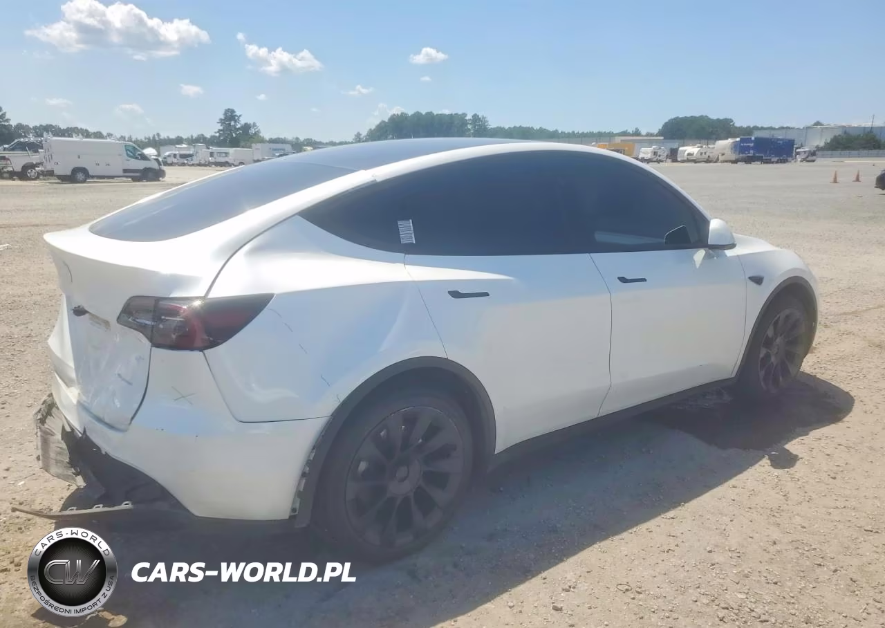 2023 Tesla Model Y VIN:7SAYGAEE9PF806104 - 3