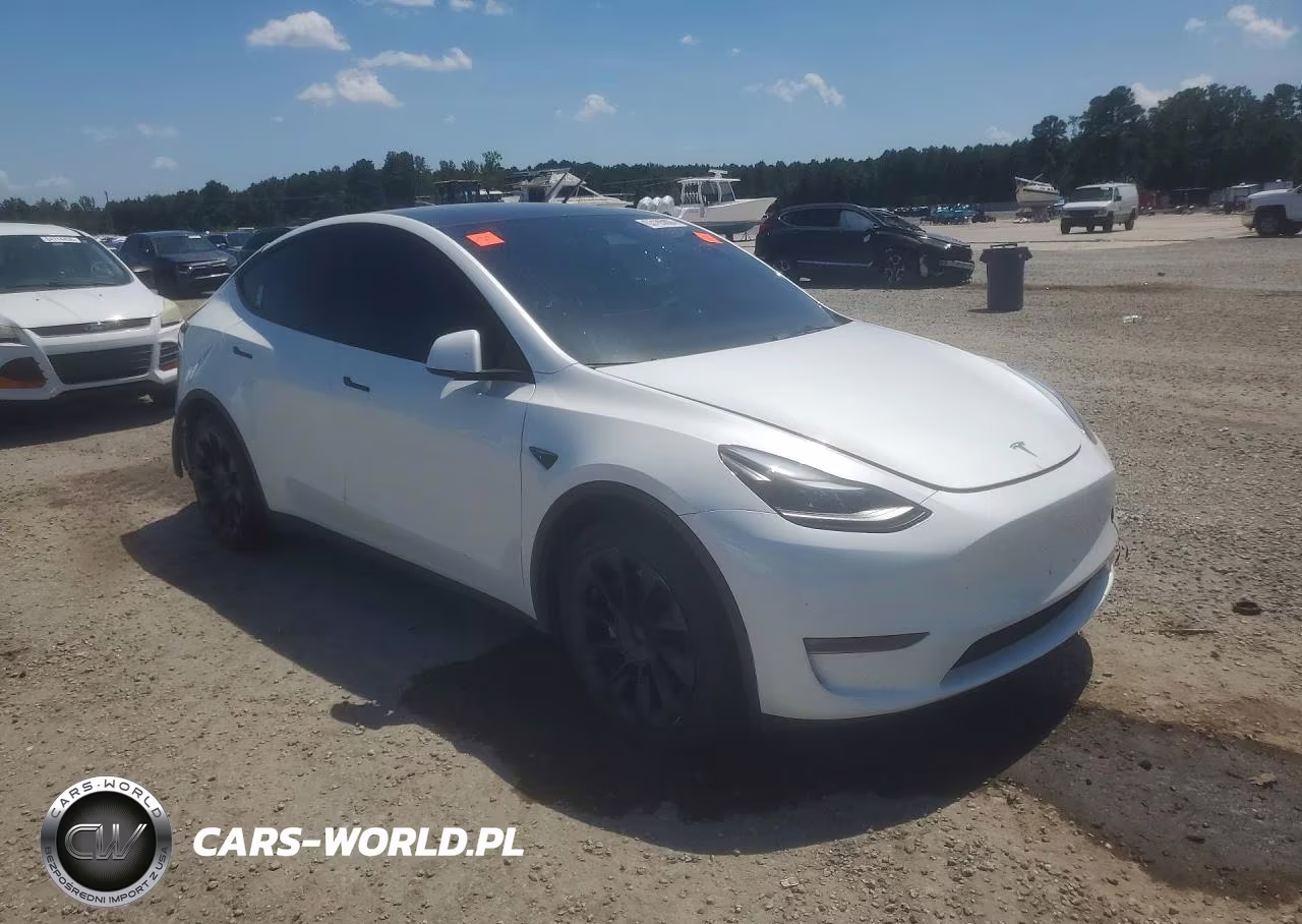 2023 Tesla Model Y VIN:7SAYGAEE9PF806104 - 4