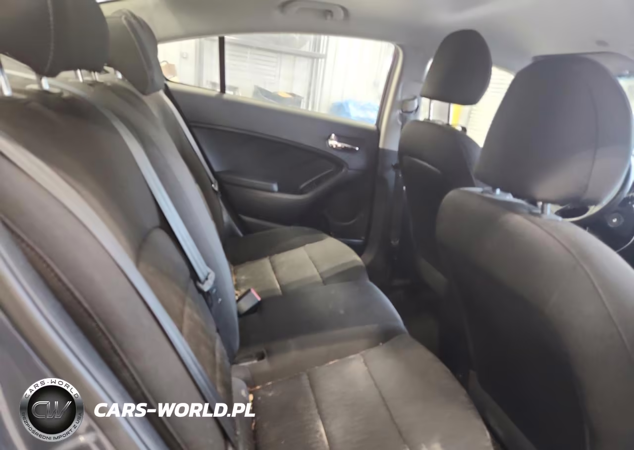 2016 Kia Forte Lx VIN:KNAFK4A66G5492896 - 10