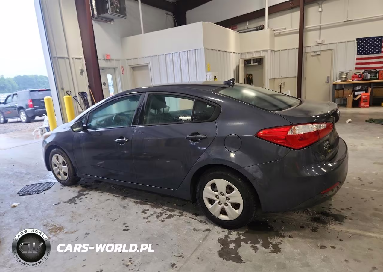2016 Kia Forte Lx VIN:KNAFK4A66G5492896 - 2