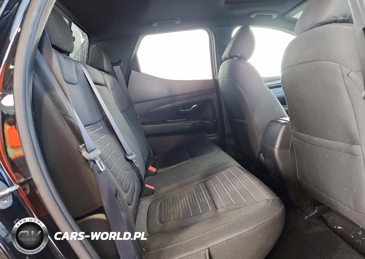 2022 Hyundai Santa Cruz Sel Premium VIN:5NTJDDAF3NH015543 - 10