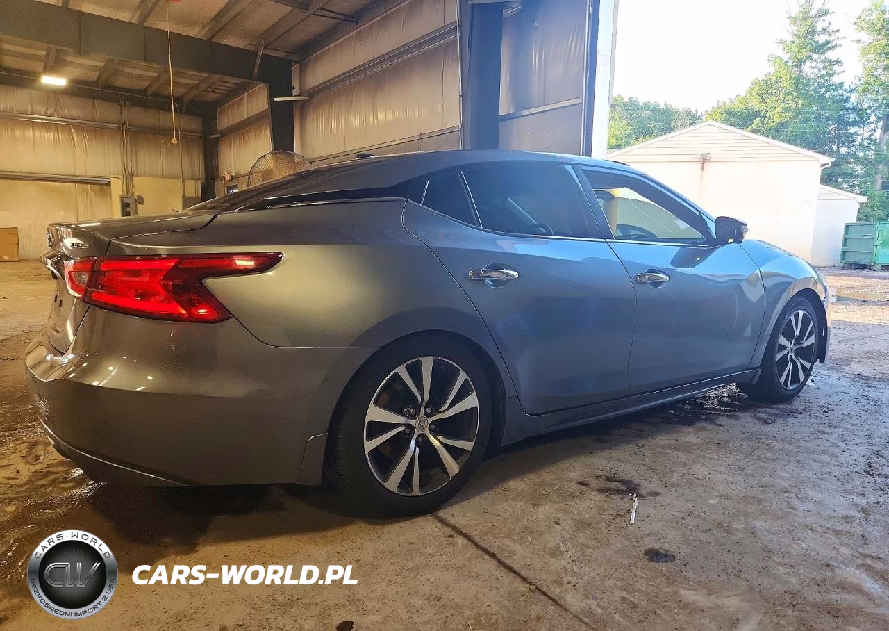 2016 Nissan Maxima Platinum VIN:1N4AA6AP5GC397431 - 3