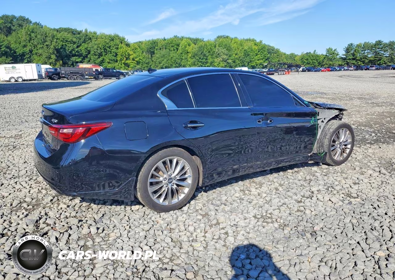 2019 Infiniti Q50 3.0T Luxe VIN:JN1EV7AP4KM513004 - 3