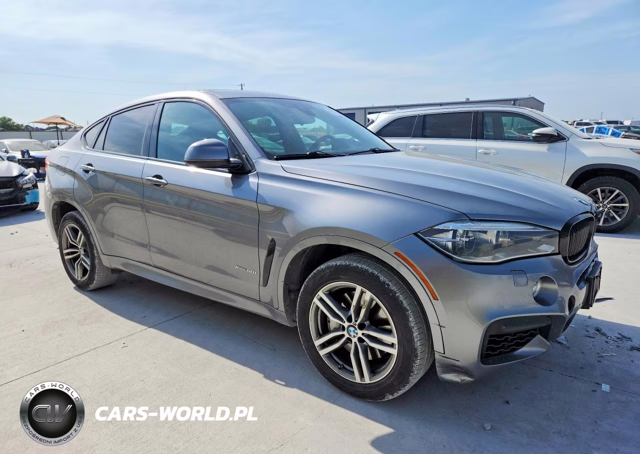 2016 BMW X6 xDrive50I VIN:5UXKU6C59G0R34190 - 4