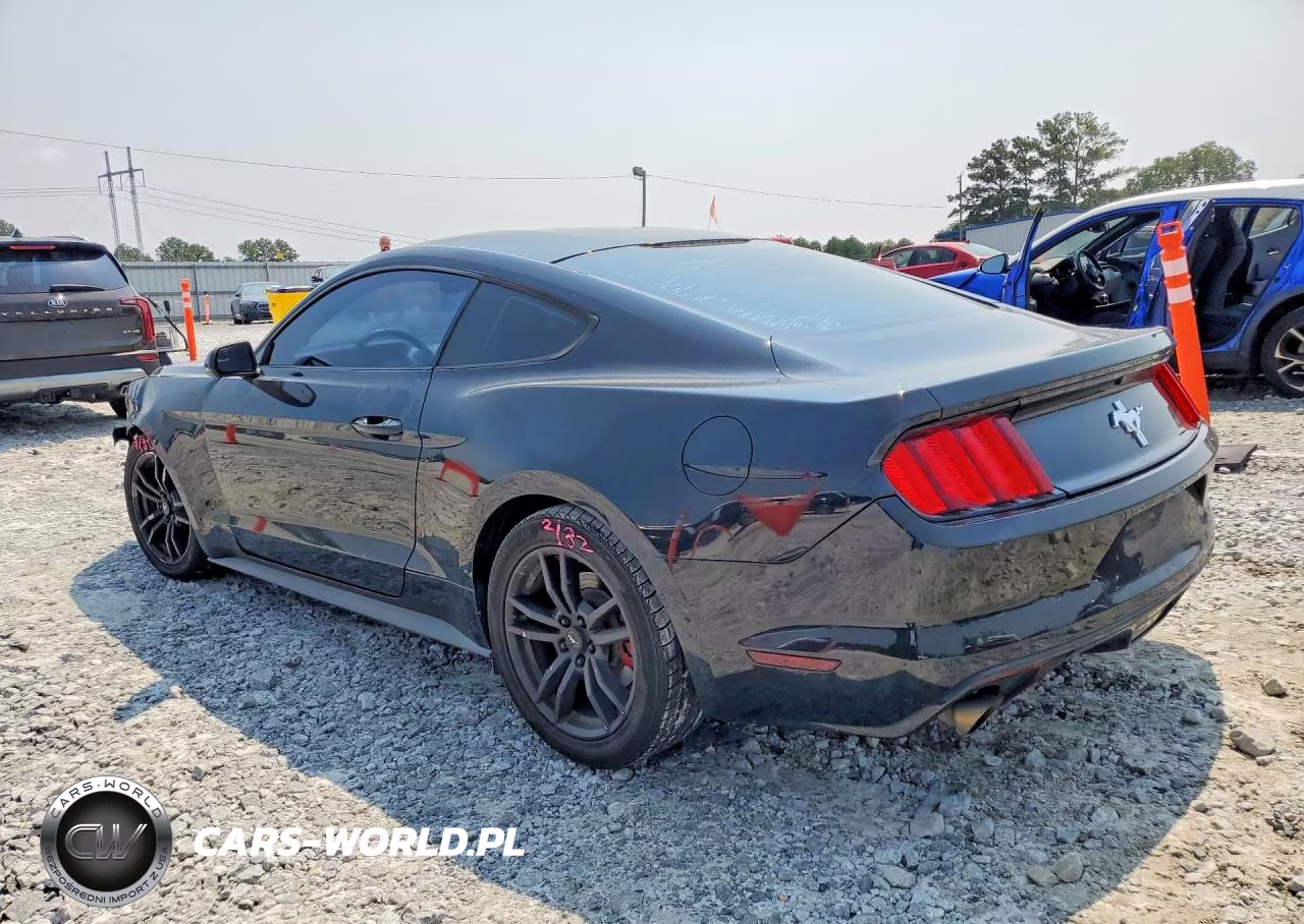 2017 Ford Mustang VIN:1FA6P8AM8H5263816 - 2