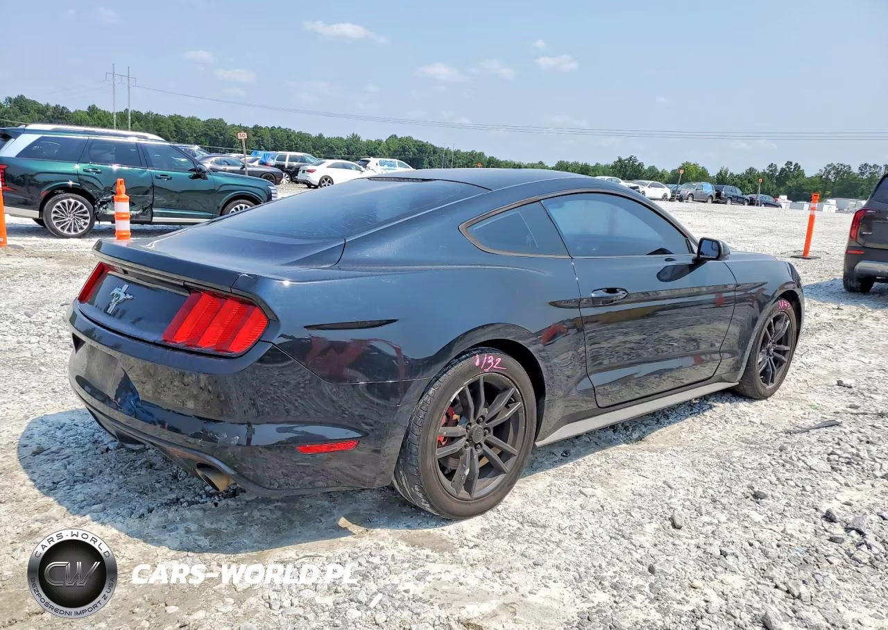 2017 Ford Mustang VIN:1FA6P8AM8H5263816 - 3