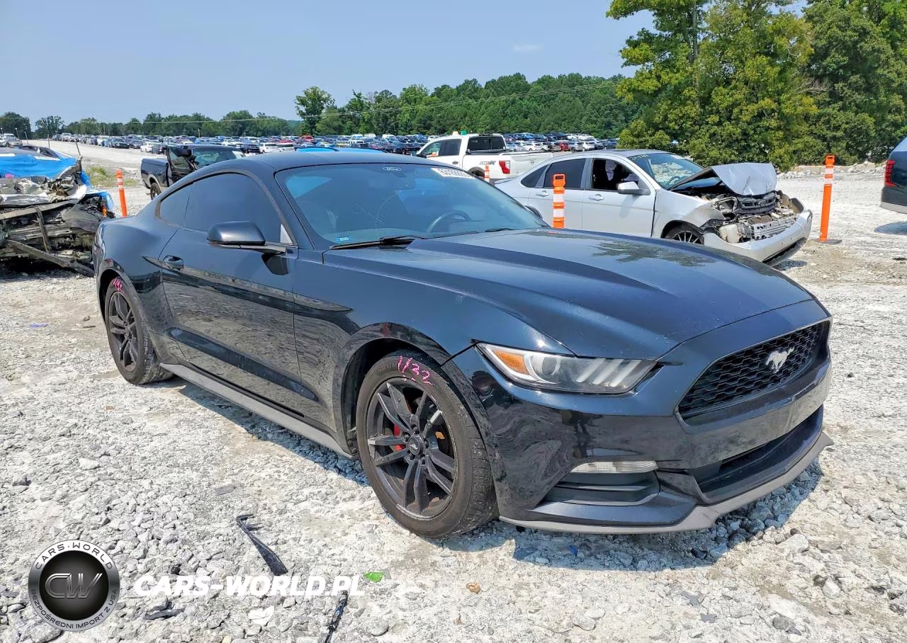 2017 Ford Mustang VIN:1FA6P8AM8H5263816 - 4