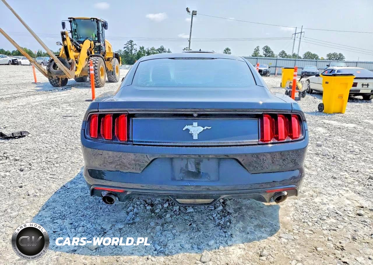 2017 Ford Mustang VIN:1FA6P8AM8H5263816 - 6